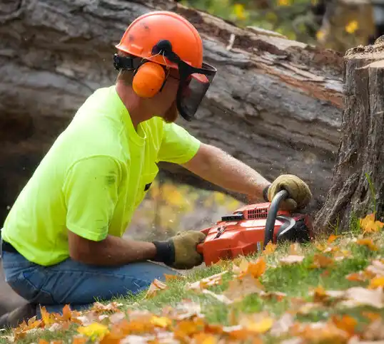 tree services Elmsford